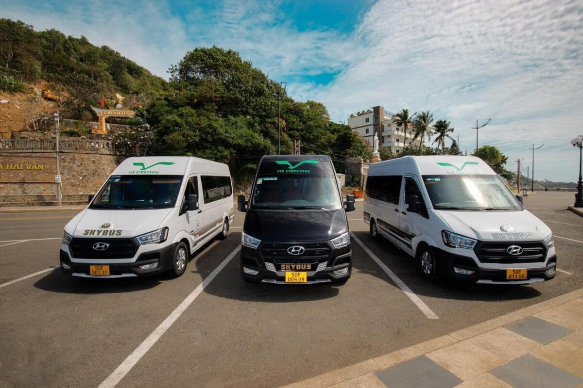 Vie Limousine Vũng Tàu