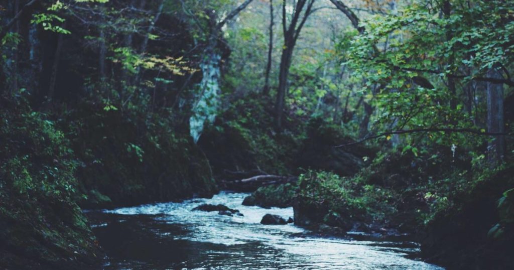 Cẩm nang du lịch Phước Hải Bà Rịa Vũng Tàu 2026