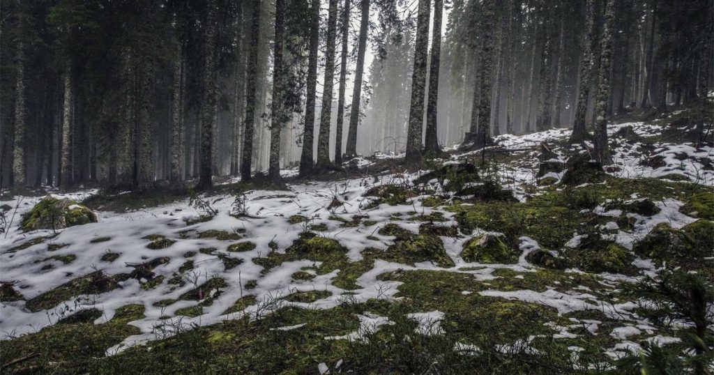 Lịch trình và giá vé nhà xe Hoa Mai mới nhất 2026