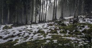 Lịch trình và giá vé nhà xe Hoa Mai mới nhất 2026