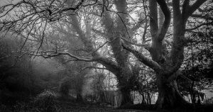 Vũng Tàu chơi gì: Top địa điểm vui chơi và kinh nghiệm du lịch 2026